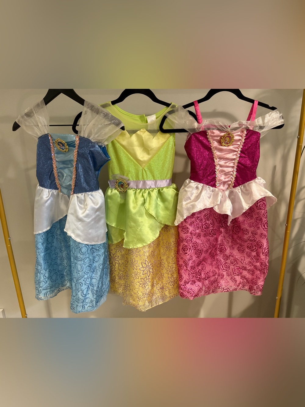 Disney Princess Dress-Up Costumes